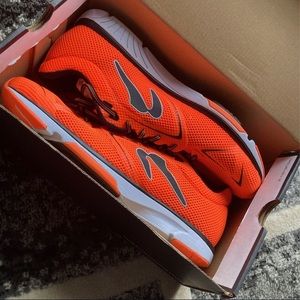 Newton Running Shoes